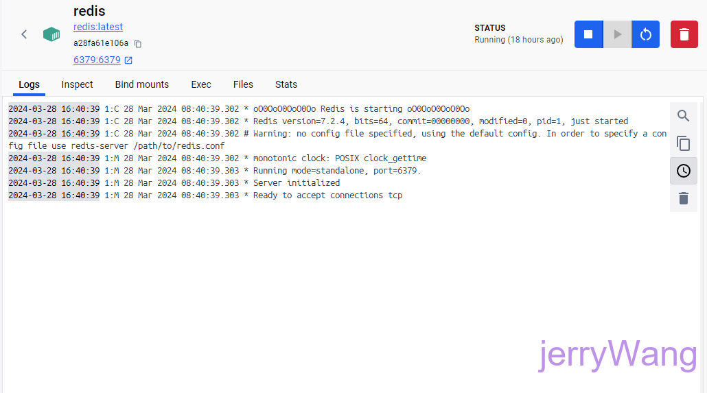 Docker运行Redis后
